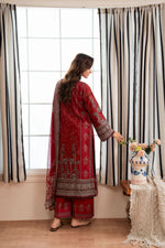 Dilruba CS -04-A