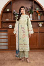 Gul-e-Noor CS -06-B