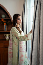 Gul-e-Noor CS -06-B