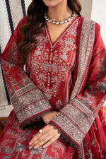 Dilruba CS -04-A