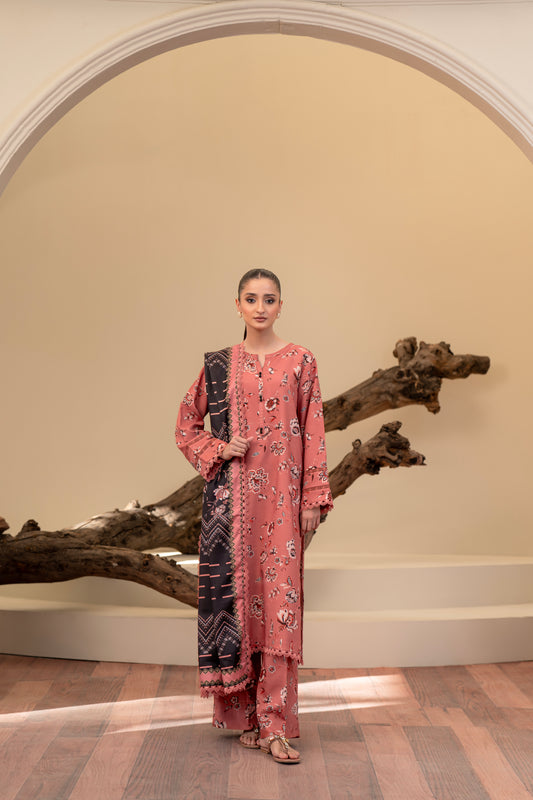 AGAAZ CO - 10| 3 PC PRINTED